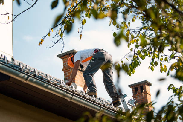 Best Residential Roofing Contractor  in Gary, IN